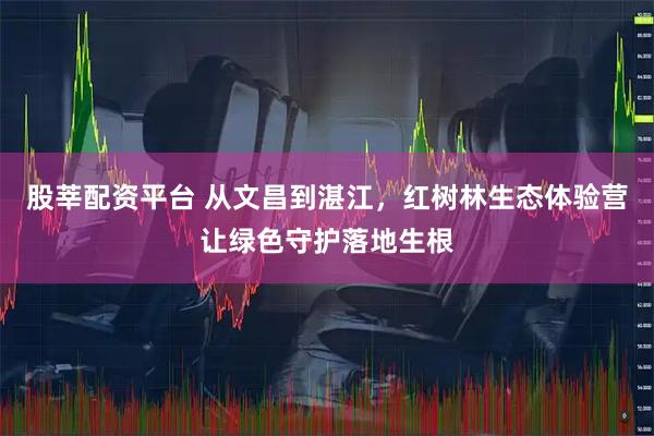 股莘配资平台 从文昌到湛江，红树林生态体验营让绿色守护落地生根