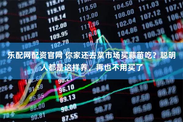 乐配网配资官网 你家还去菜市场买蒜苗吃？聪明人都是这样养，再也不用买了