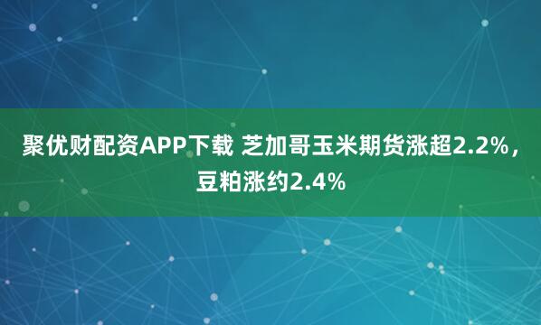 聚优财配资APP下载 芝加哥玉米期货涨超2.2%，豆粕涨约2.4%
